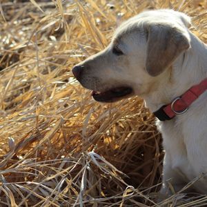 Meet your Posher, John debbie